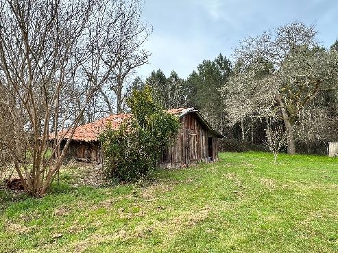 Maison de campagne rénovée sur 1 hectare près tous commerces