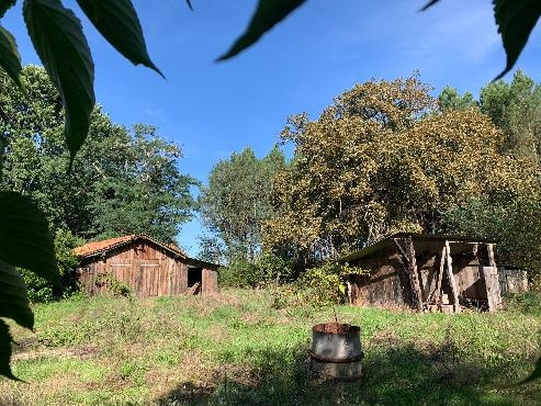 Maison de campagne rénovée sur 1 hectare près tous commerces