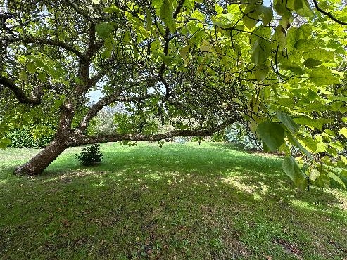 Maison landaise rénovée avec goût sur 6 600 m²