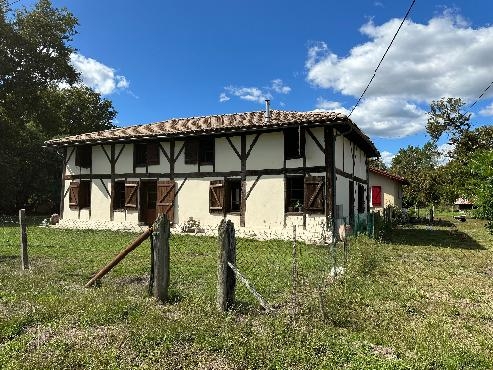 Maison landaise sur 2 300 m²