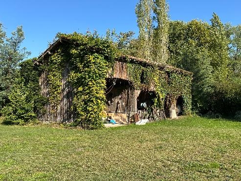Propriété de caractère sur 5 hectares et près de 4 000 m²